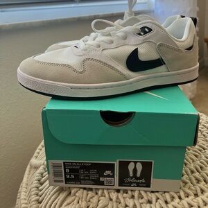 Nike Skateboard Shoes